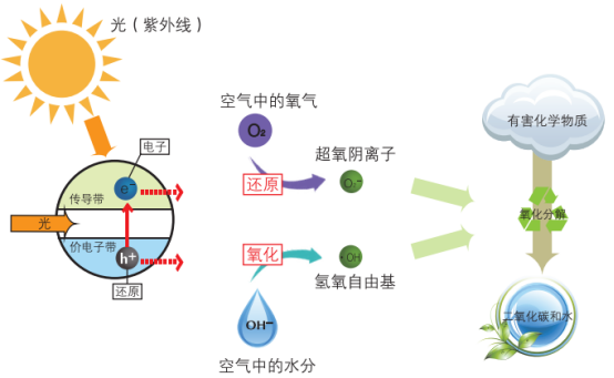 沒有紫外線光觸媒能不能除甲醛？