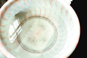 疫苗事件背后：您是否想過除甲醛產品也存在無效情況？
