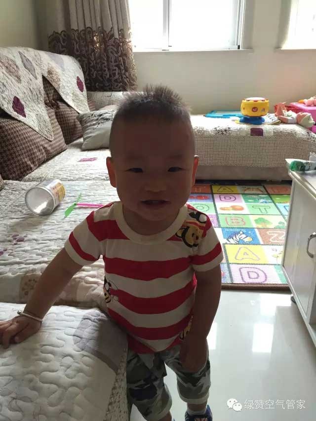 臨安衣錦人家小區朱女士室內空氣綜合治理