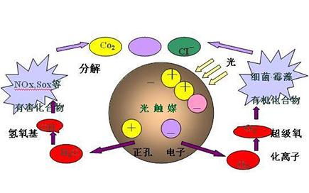 新房除甲醛，光觸媒是不是最有效的？